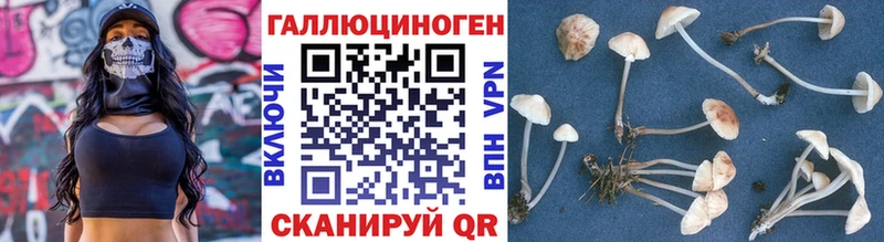 сайты даркнета телеграм  Нижний Ломов  Псилоцибиновые грибы GOLDEN TEACHER 